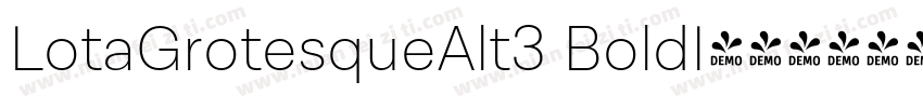 LotaGrotesqueAlt3 BoldI字体转换